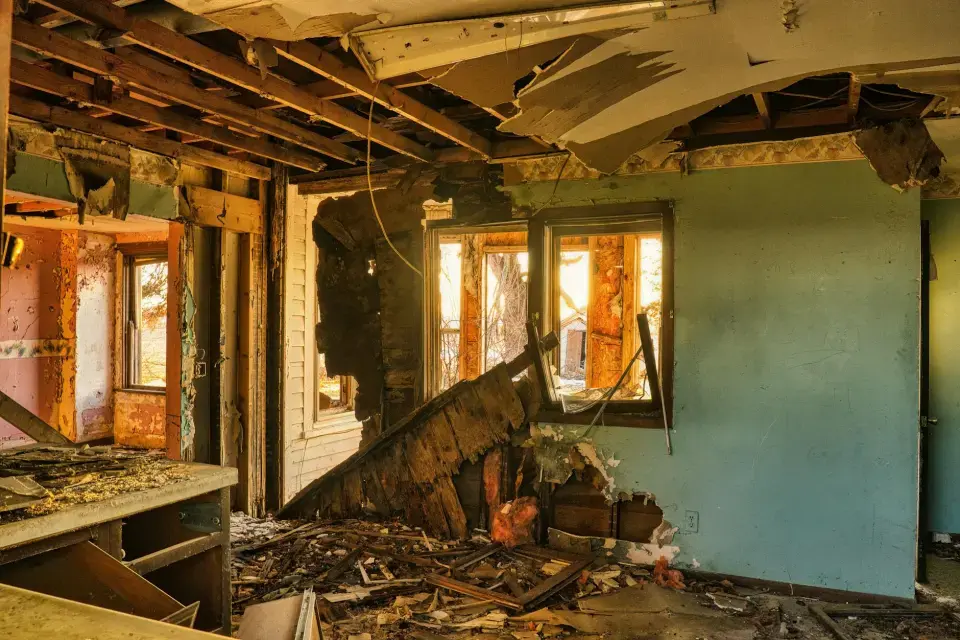 Airstar Mold Removal: Leading Mold Removal Company In Greenville — Greenville, NC